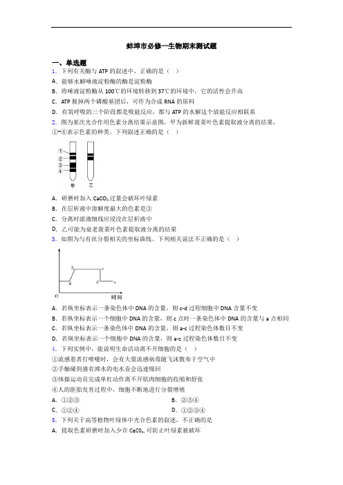 蚌埠市必修一生物期末测试题