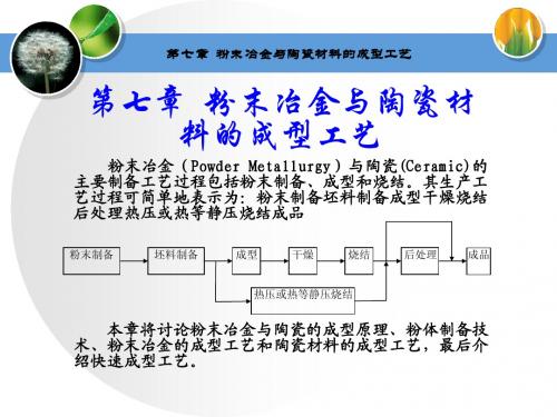 粉末冶金与陶瓷材料的成型工艺ppt
