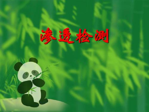 渗透检测