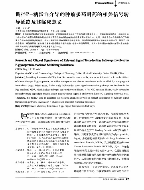 调控P-糖蛋白介导的肿瘤多药耐药的相关信号转导通路及其临床意义