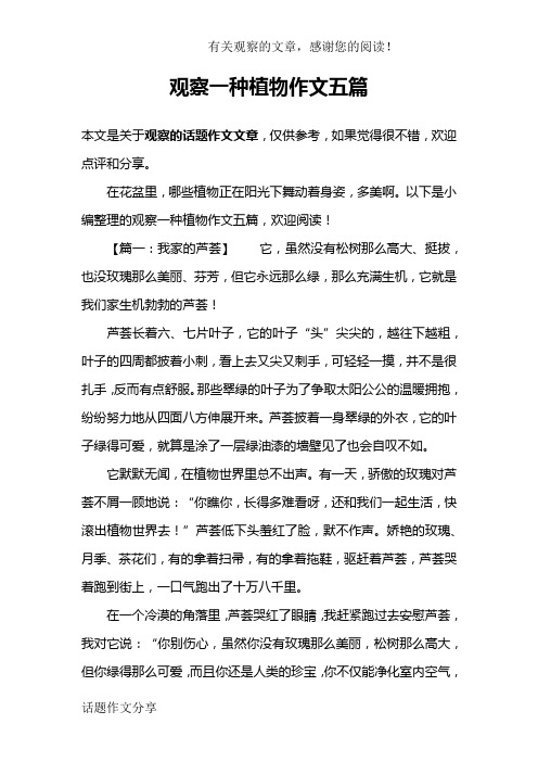 观察一种植物作文五篇