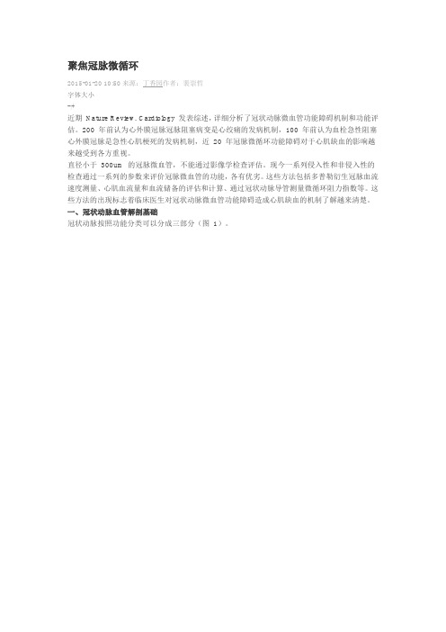 聚焦冠脉微循环