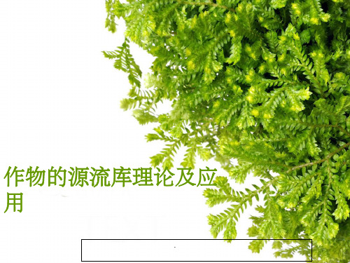 作物的源流库理论及应用ppt课件