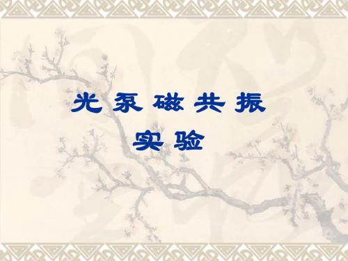 光泵磁共振