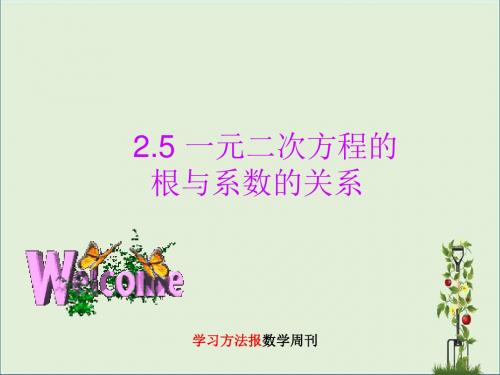 2.5 一元二次方程的根与系数的关系 (2)