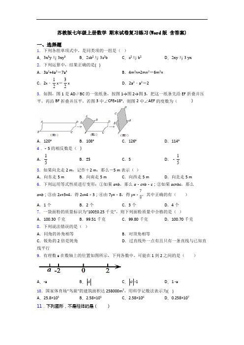 苏教版七年级上册数学 期末试卷复习练习(Word版 含答案)