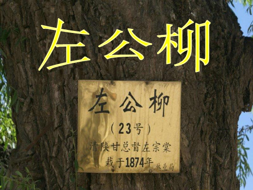 左公柳(语文S版)PPT课件