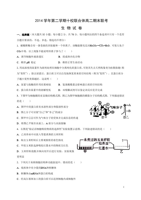 浙江省温州市十校联合体2014-2015学年高二下学期期末联考生物试题