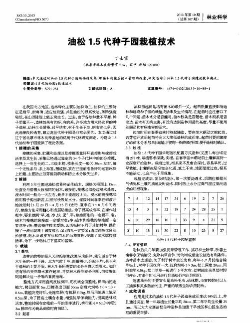 油松1.5代种子园栽植技术