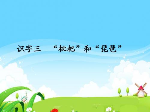 语文S版小学二年级语文上册《识字三“枇杷”和“琵琶”》每课一练