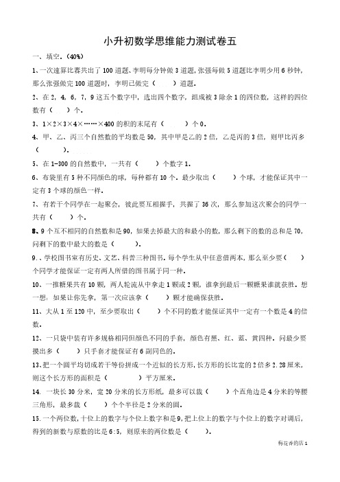小升初数学思维能力培优测试卷五(含答案)