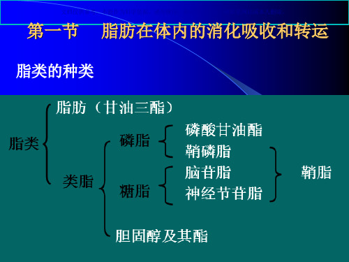 脂肪在体内的消化吸收和转运课件