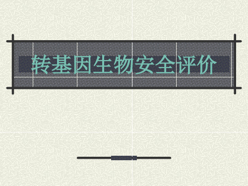 转基因生物安全评价-PPT精选文档55页
