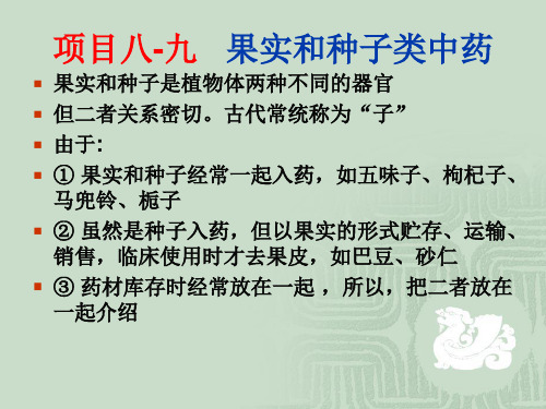 项目八-九 果实和种子类中药