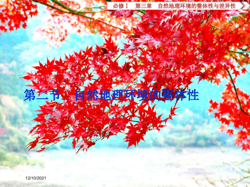 高考地理总复习 第三章 自然地理环境的整体性和差异性 第二节 自然地理环境的整体性课件 