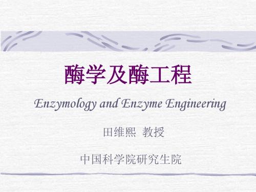 酶学及酶工程2章1节