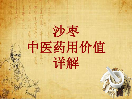 中药学_沙枣_药材详解课件模板