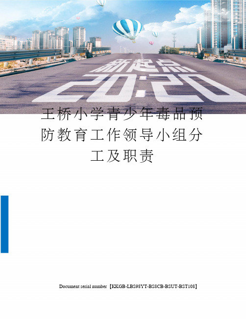 王桥小学青少年毒品预防教育工作领导小组分工及职责精选版
