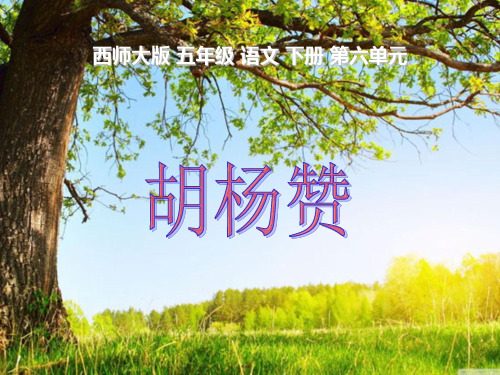 西师大版小学五年级语文下册第23课《胡杨赞PPT课件》