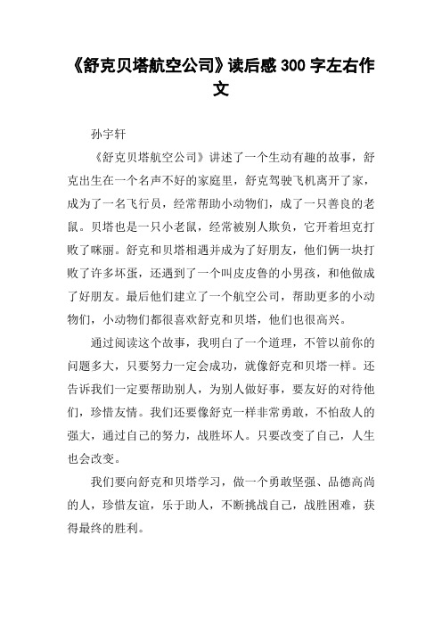 《舒克贝塔航空公司》读后感300字左右作文