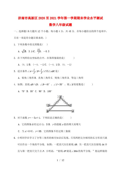 山东省济南市高新区2020—2021学年第一学期期末学业水平测试数学八年级试题