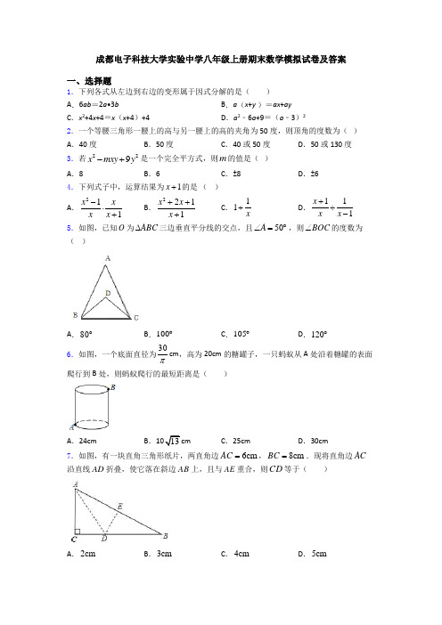 成都电子科技大学实验中学八年级上册期末数学模拟试卷及答案