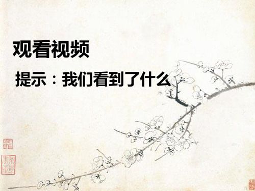 【美术】新人教版5五年级上册课件：8鸟语花香课件(31张)