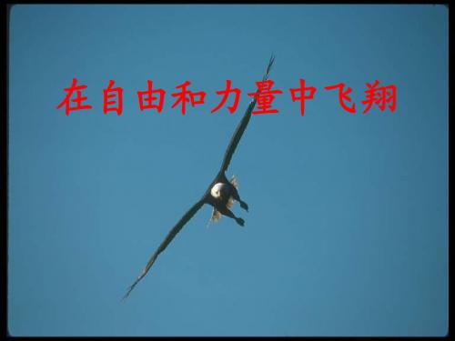 《在自由和力量中飞翔》课件2