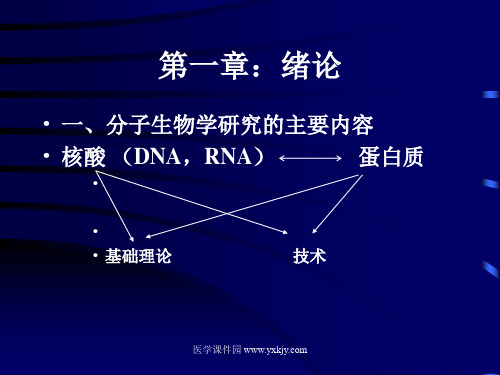 (生物化学课件)绪论
