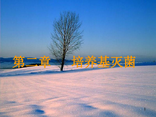培养基灭菌PPT演示课件