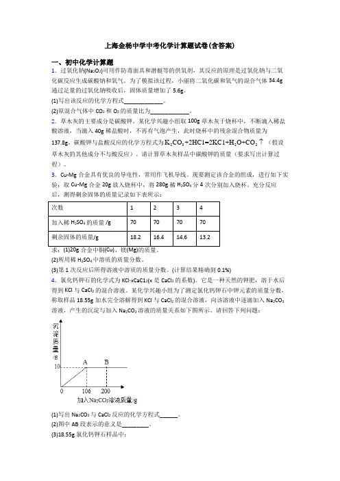 上海金杨中学中考化学计算题试卷(含答案)