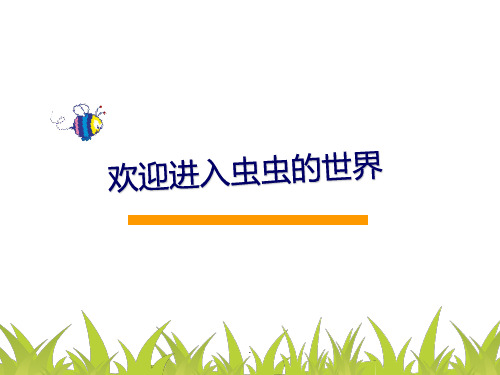 请给我结果PPT课件