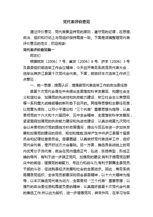 党代表评价意见
