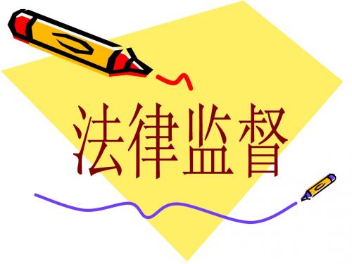 第二十章  法律监督