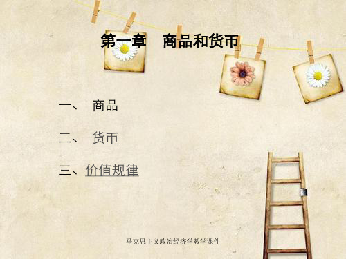 马克思主义政治经济学教学课件