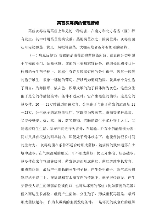 莴苣灰霉病的管理措施