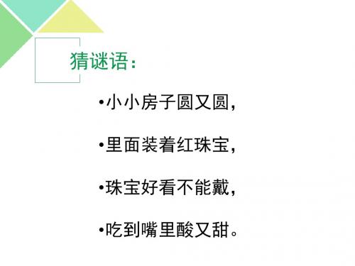苏教版语文三年级上册《石榴》第一课时