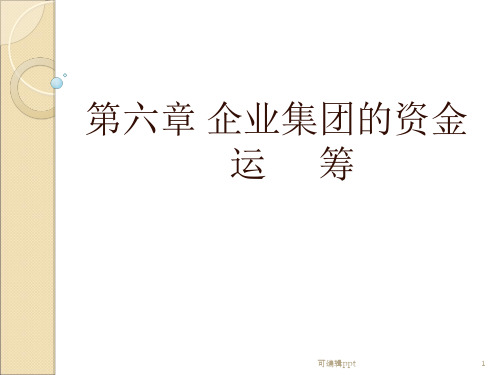 企业集团的资金运筹(1)