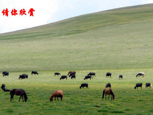 汽车仪表信号