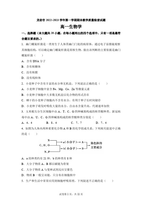 福建省龙岩市2022-2023学年高一上学期期末教学质量检查生物试题