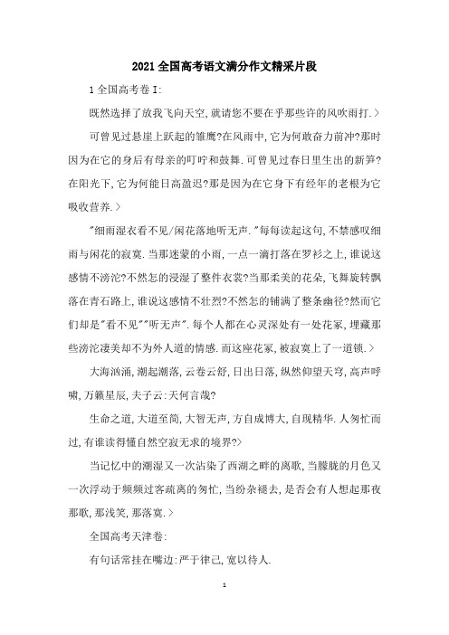 2021全国高考语文满分作文精采片段