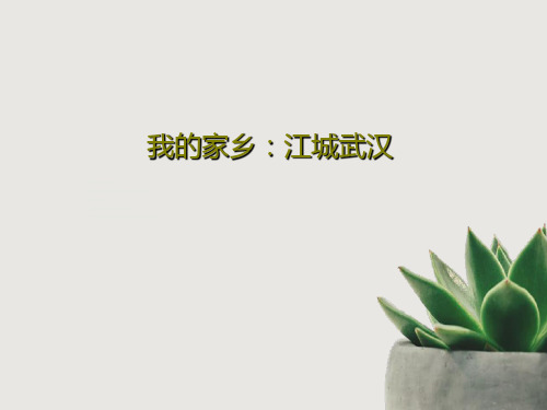 我的家乡：江城武汉37页PPT