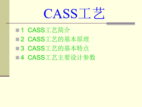 CASS工艺简介