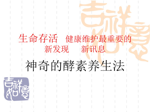 酵素演讲课件