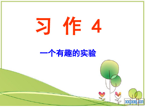第12册习作4  一个有趣的实验