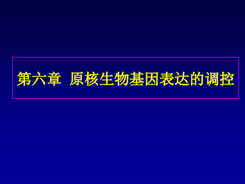 大学生物遗传学：原核生物基因表达的调控