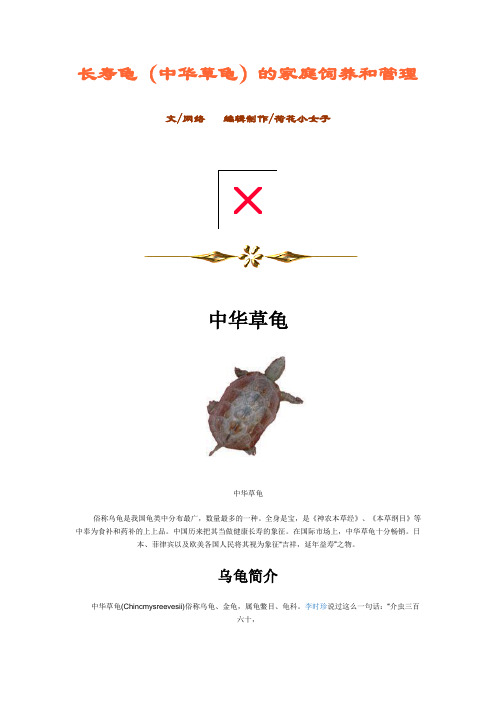 长寿龟饲养方法