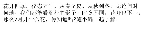 二月开什么花