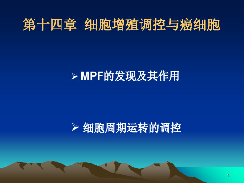 细胞增殖与癌细胞PPT课件