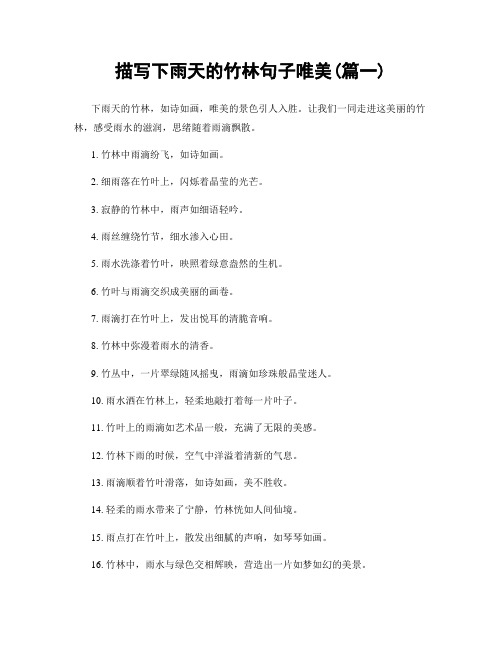 描写下雨天的竹林句子唯美(精选合集2篇)